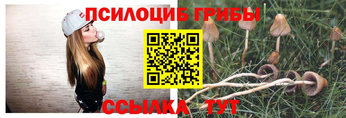 Великий Устюг  Псилоцибиновые грибы прущие грибы  Вход с VPN 